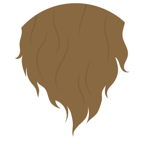 Illustration of long brown hair.